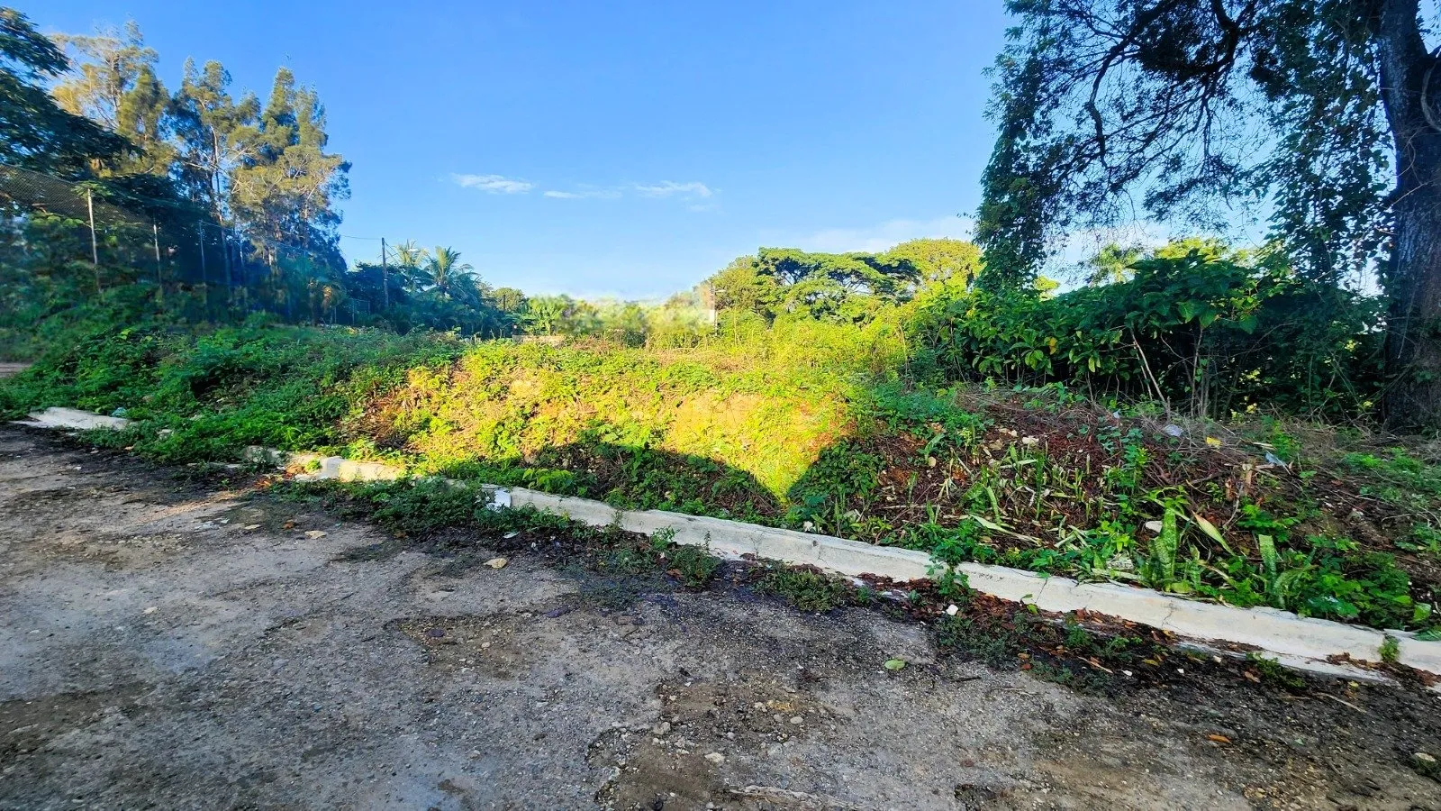 Invest in La Mulata: Available Lots with Great Potential, main photo