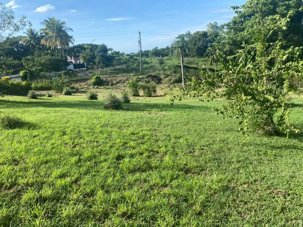 MARAVILLOSO TERRENO EN LA MULATA, foto 3
