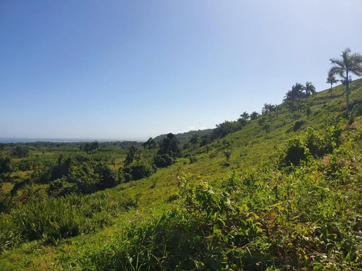 Terreno en Loma de Cabrera, Los Candelones, foto 6