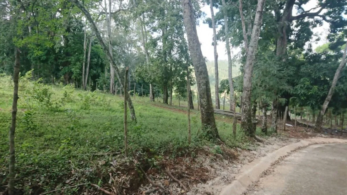 Grundstück In La Quebrada, Jarabacoa, Foto 2