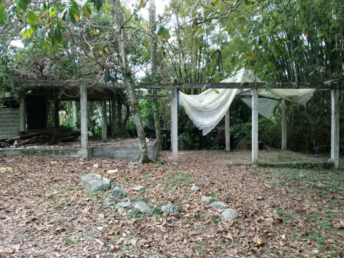 TERRAIN À VENDRE À MANABAO, JARABACOA, photo 7