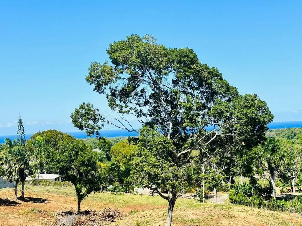 EXCLUSIVE LAND FOR SALE IN SOSÚA LA MULATA II, photo 2