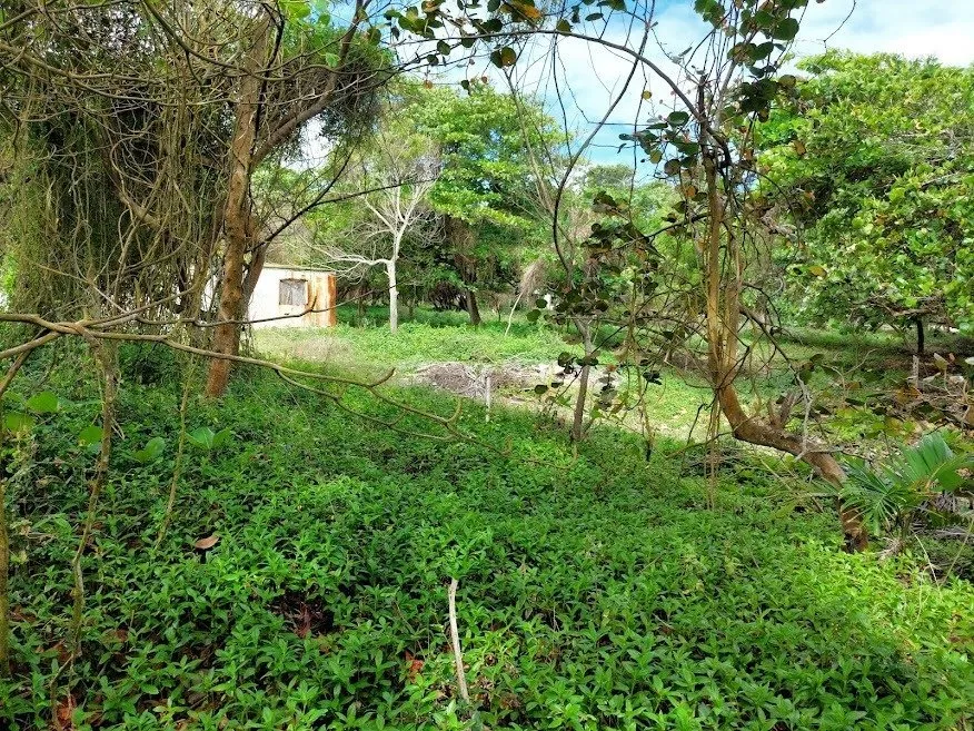 NUOVA OFFERTA – TERRENO FRONTE MARE – CABARETE, foto 7