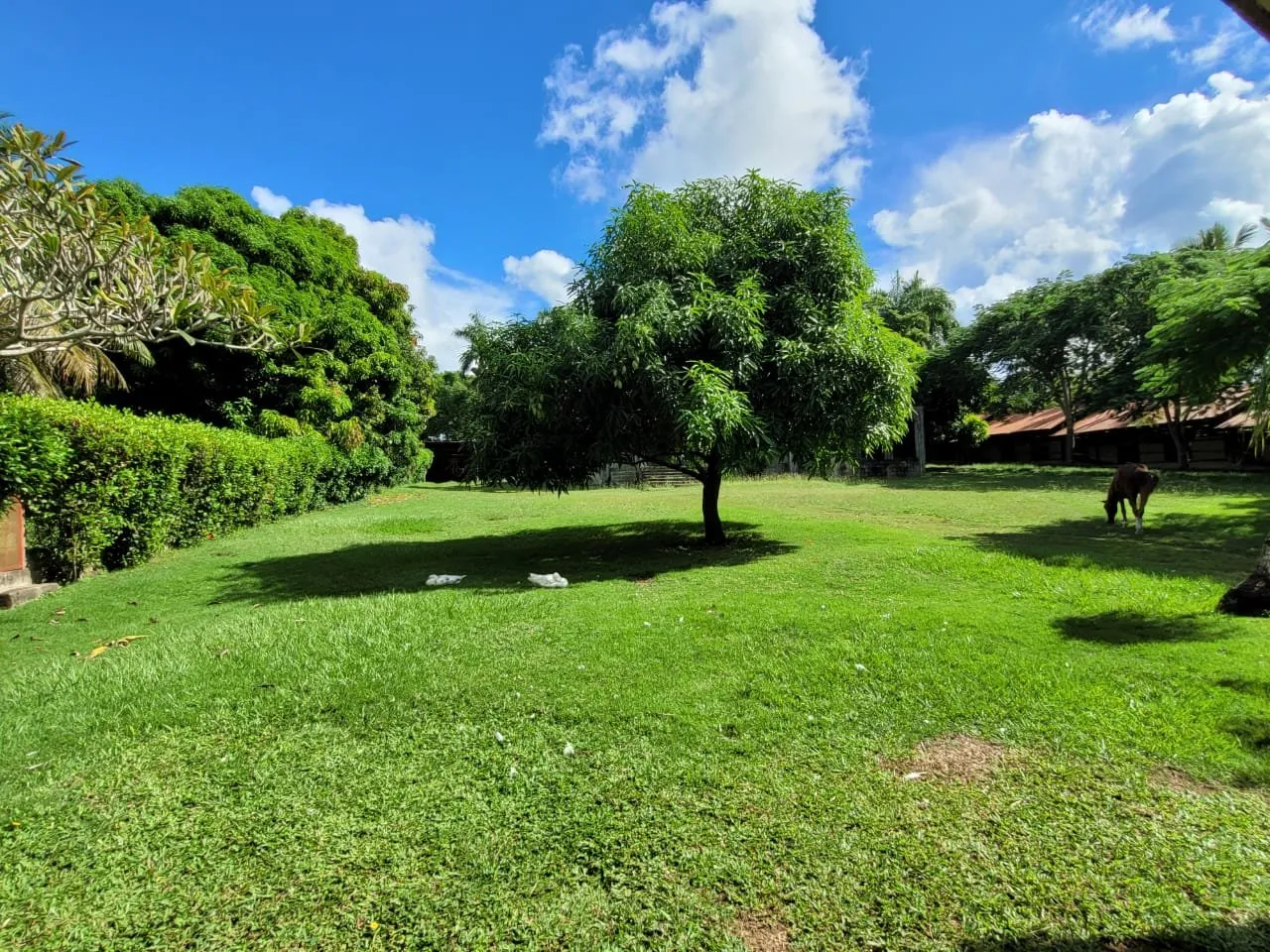 IN VENDITA – TENUTA DI CAMAGNA, foto 14