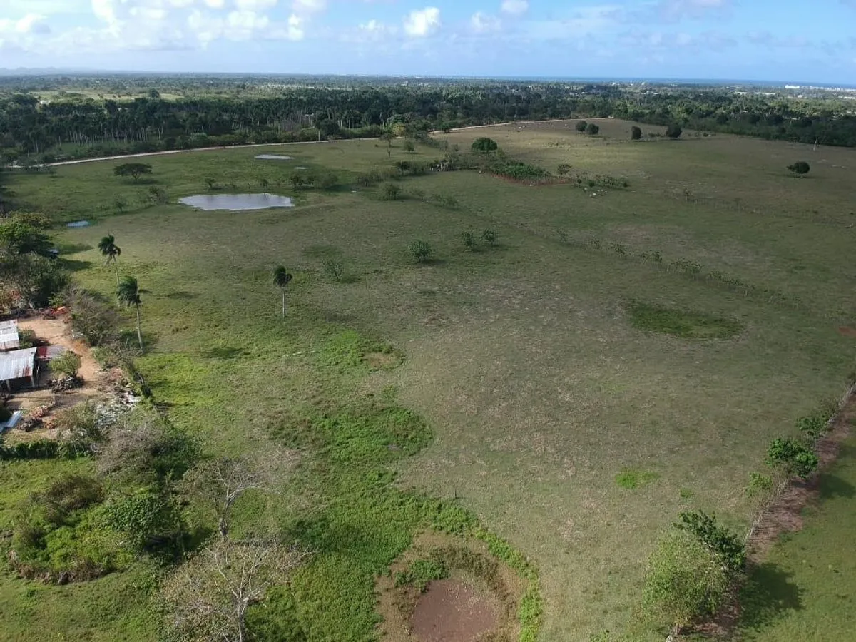Terreno in Vendita a El Macao, 11,319 m², foto 12