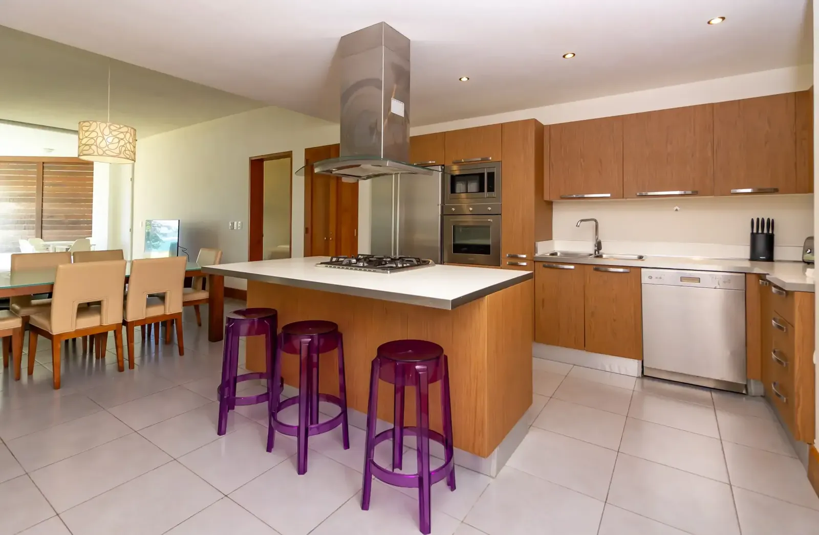 Modern Ocean-View Condominium in Cabarete, photo 2