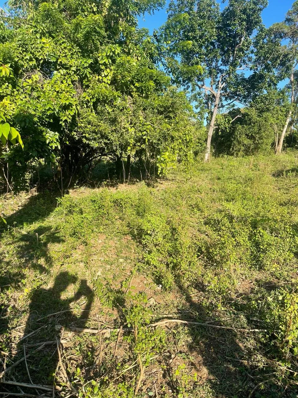 Hermoso terreno en Sosua – Carretera el choco, foto 4