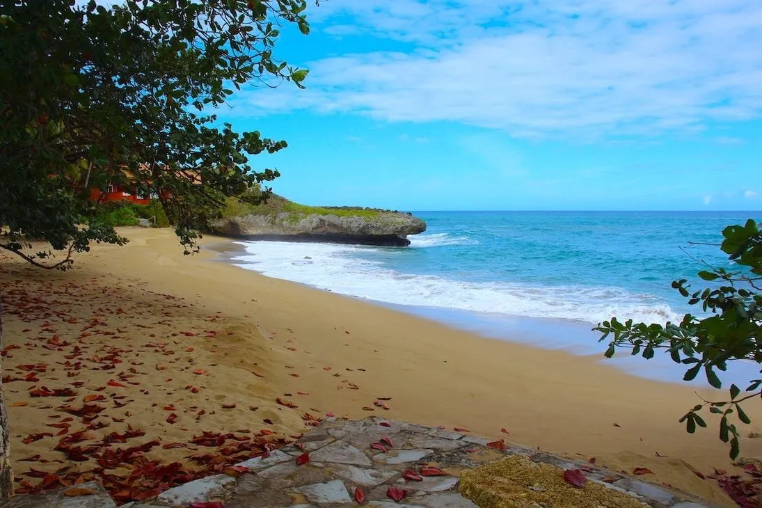 Tu Futuro Hogar de Lujo en la Costa Norte – Terreno Residencial Disponible., foto 3