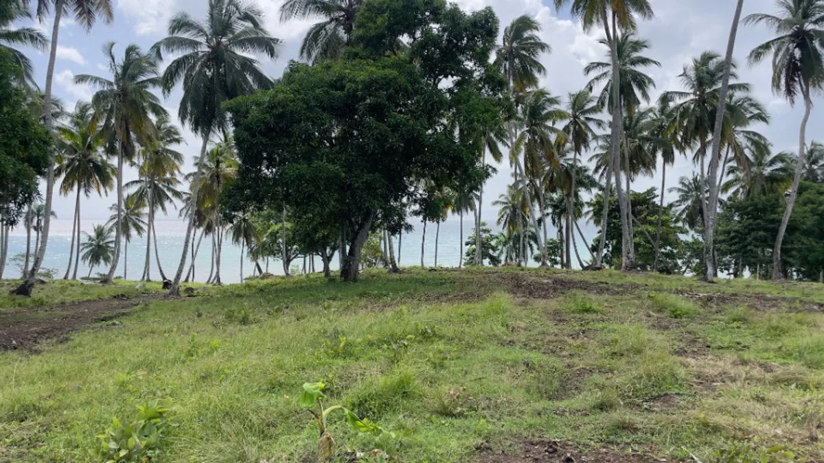 Grundstück in Santa Bárbara, Samaná, Foto 5