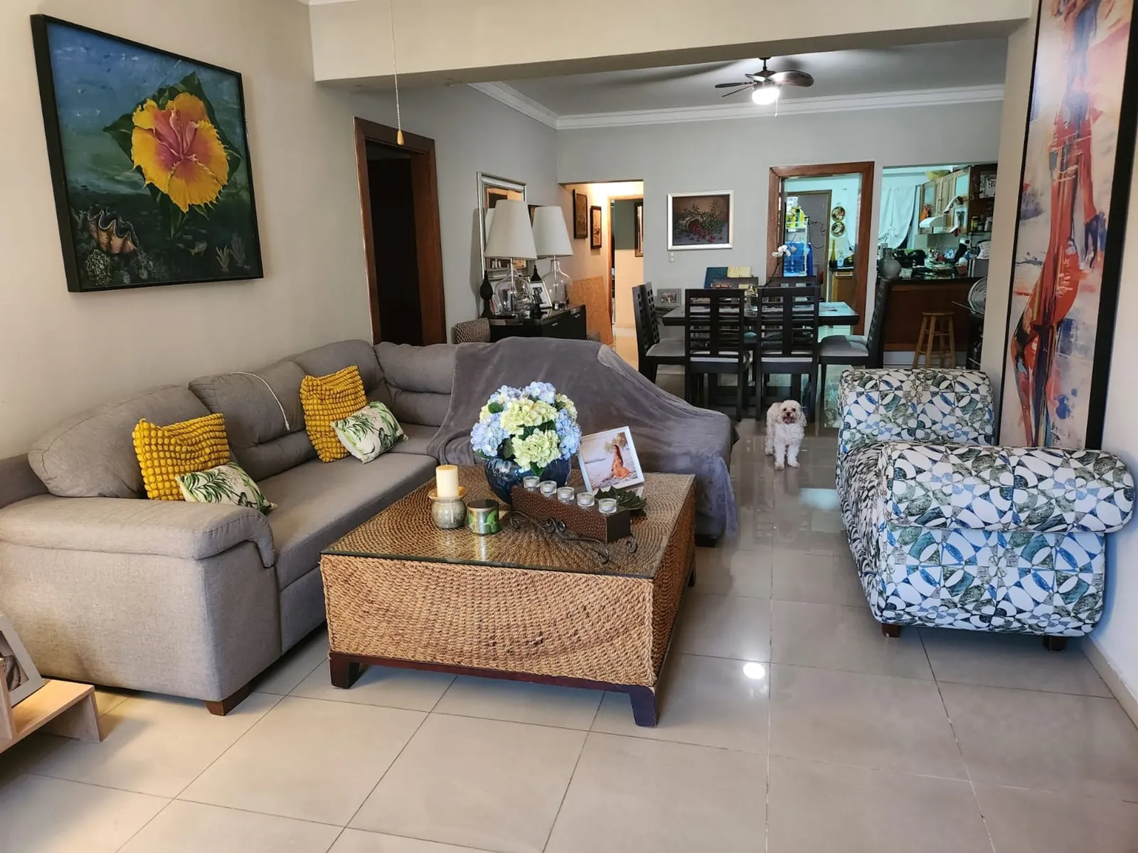 BEAUTIFUL APARTMENT IN EVARISTO MORALES, main photo