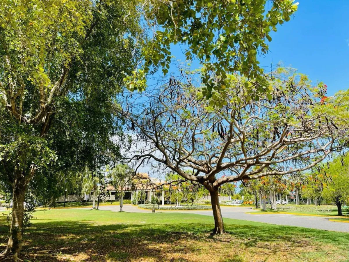 Villa Turística en Juan Dolio, San Pedro, foto 7