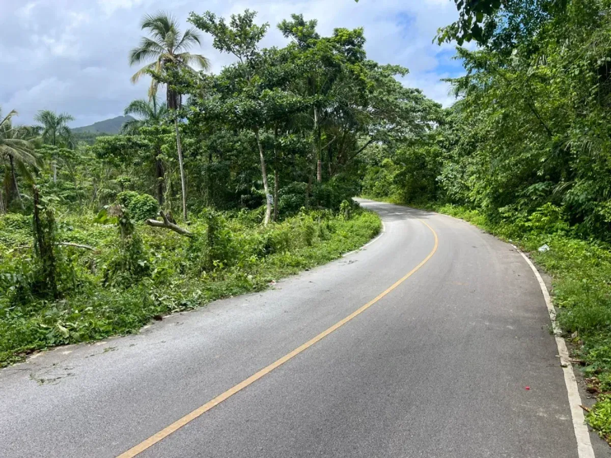 Verkauf von Grundstück in der Nähe des Strandes Rincón in Samaná, Foto 2