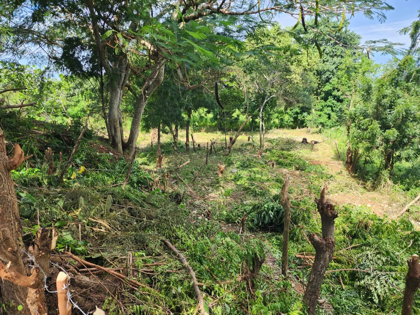 Corazón de Sosúa: Terreno en Venta en el Centro, foto 3