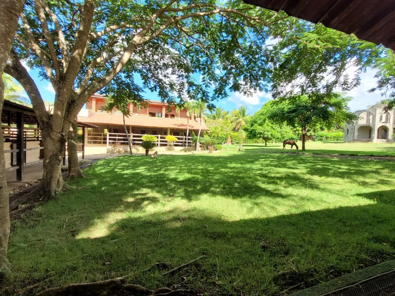 IN VENDITA – TENUTA DI CAMAGNA, foto 2