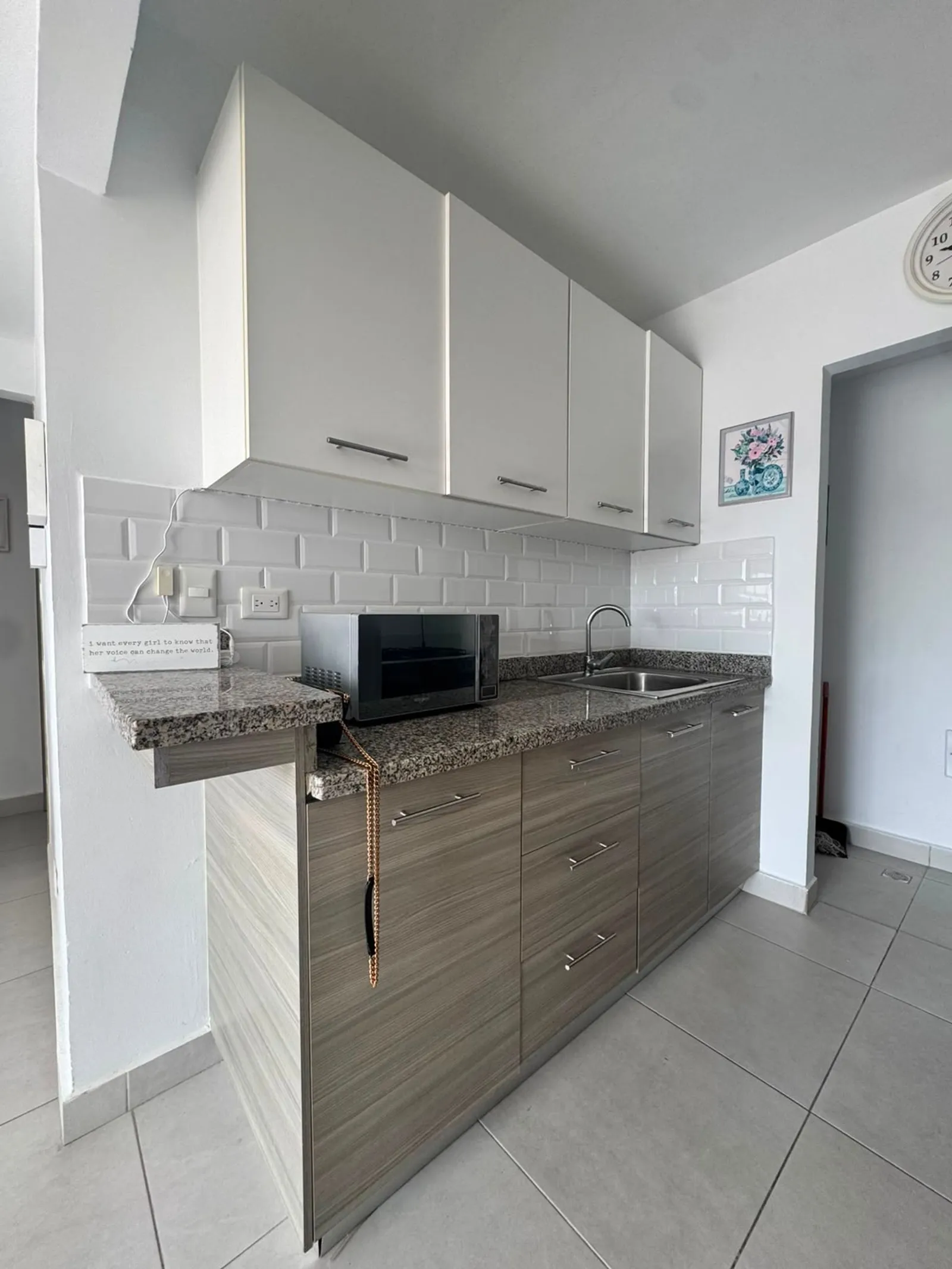 APPARTAMENTO IN VENDITA BÁVARO PUNTA CANA, foto 4