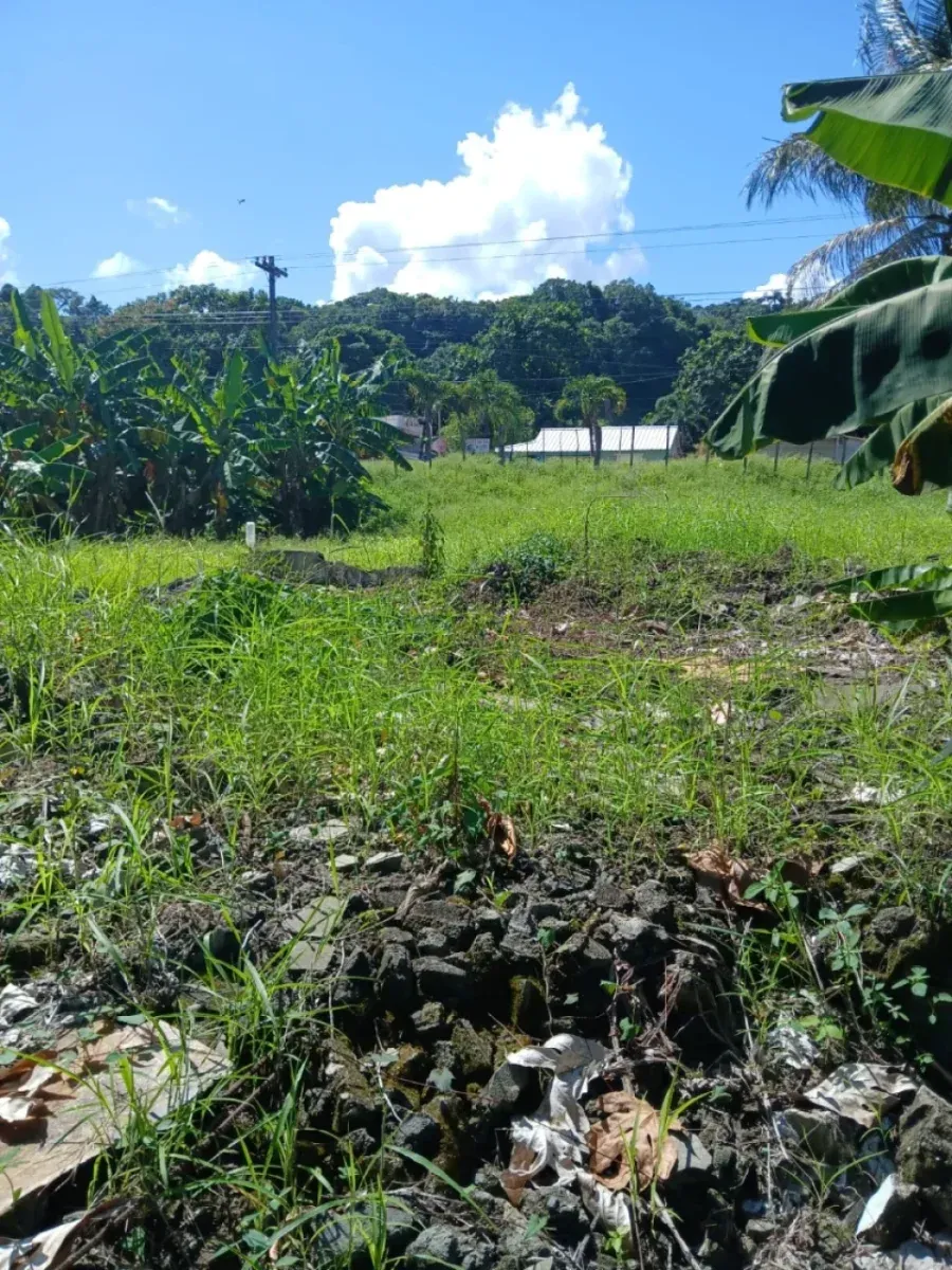 Land for sale in Cabrera, Abreu, main photo