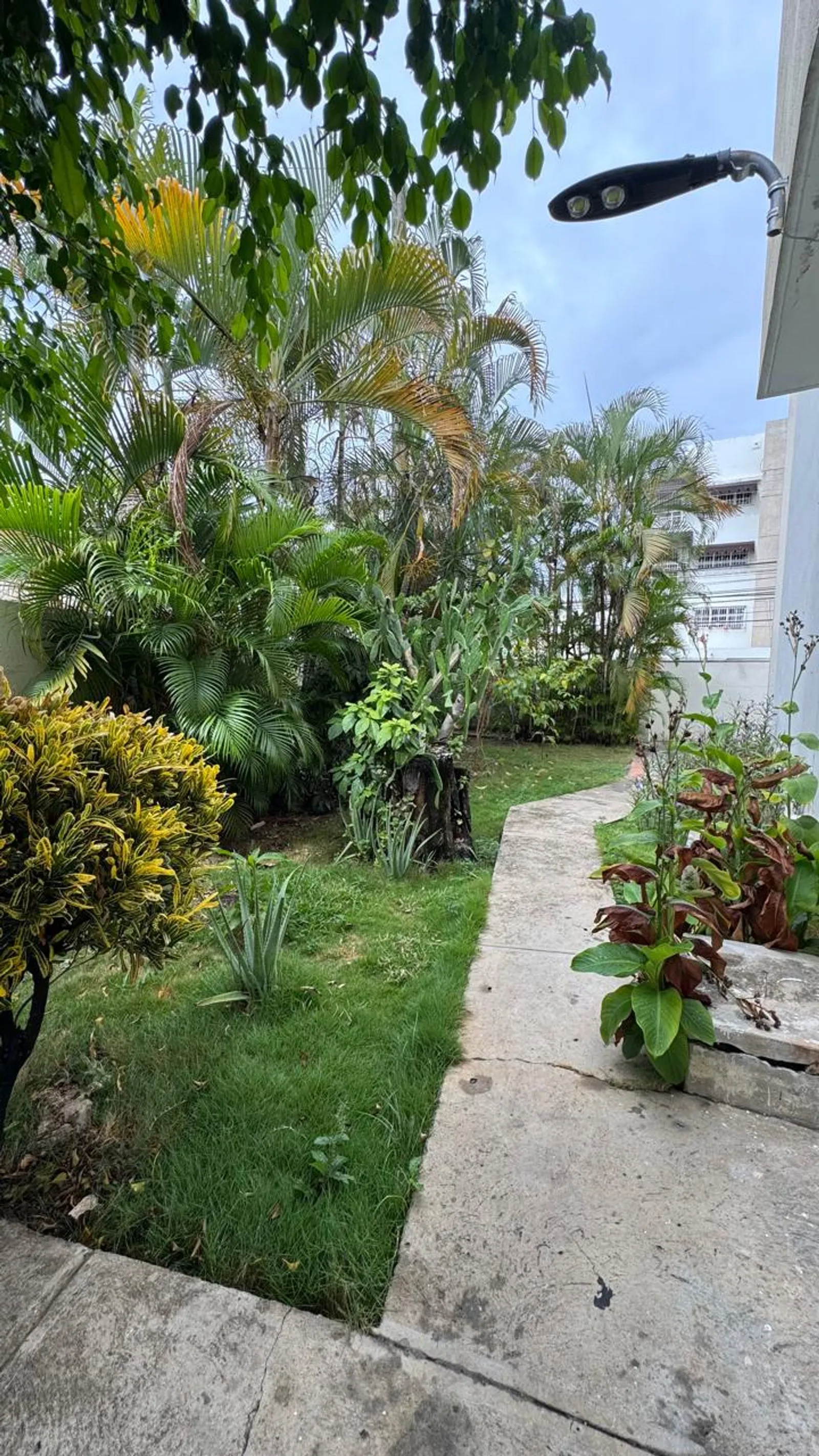 APARTAMENTO EN VENTA 3 DORMITORIOS DISTRITO NACION, foto 12