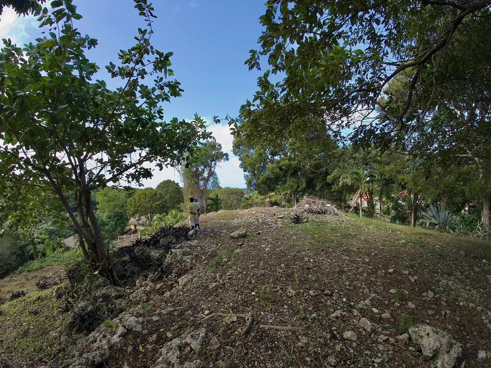 Ocean View Land in La Mulata, Sosúa, photo 4