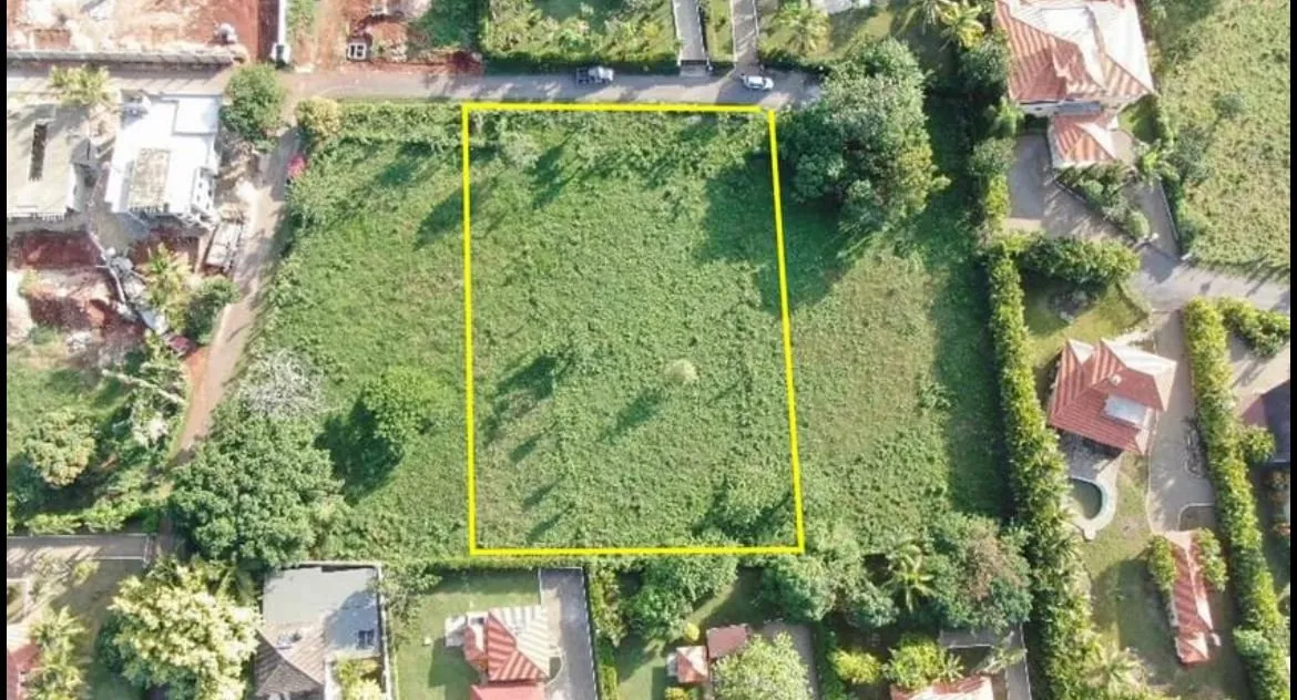 Terreno in Vendita, foto principale