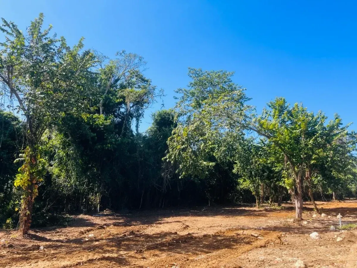 Grundstück in Santa Bárbara, Samaná, Foto 6