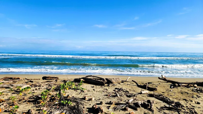 Live paradise with your own beachfront land!, USD$ 275,130