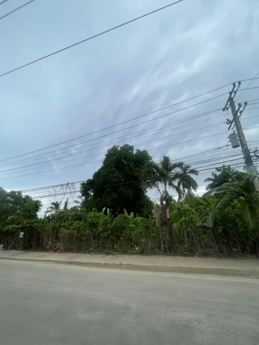 Land in Downtown Samaná Las Terrenas, photo 2
