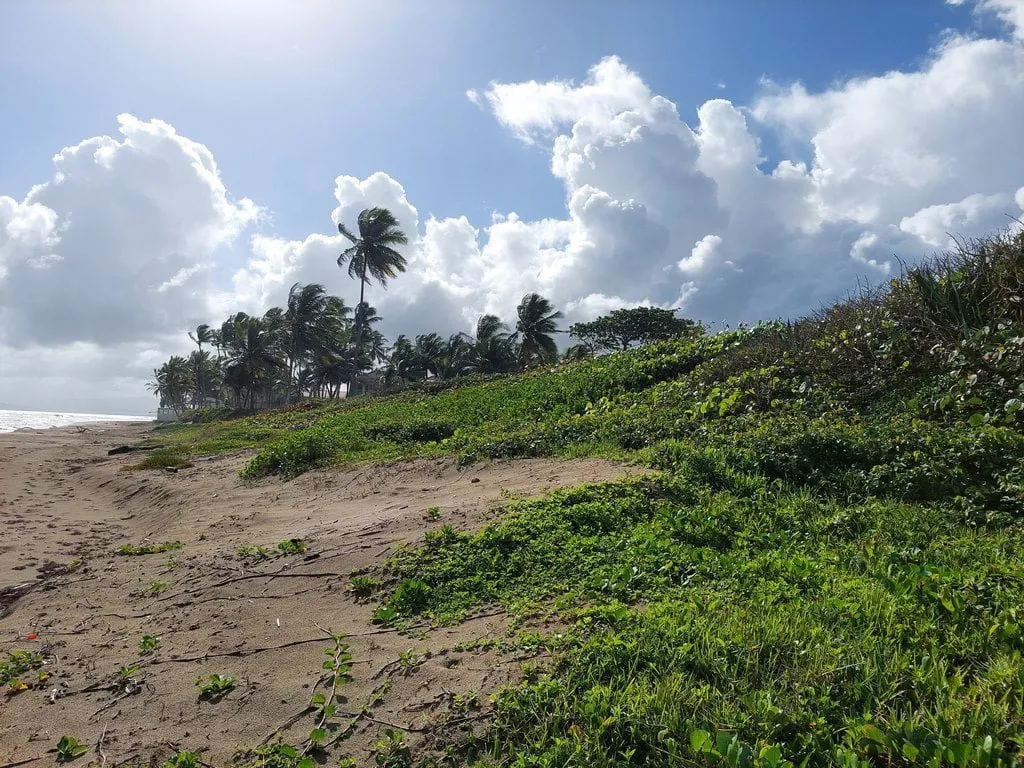TERRAZZA IN ZONA ESCLUSIVA FRONTE MARE – CABARETE, foto 7