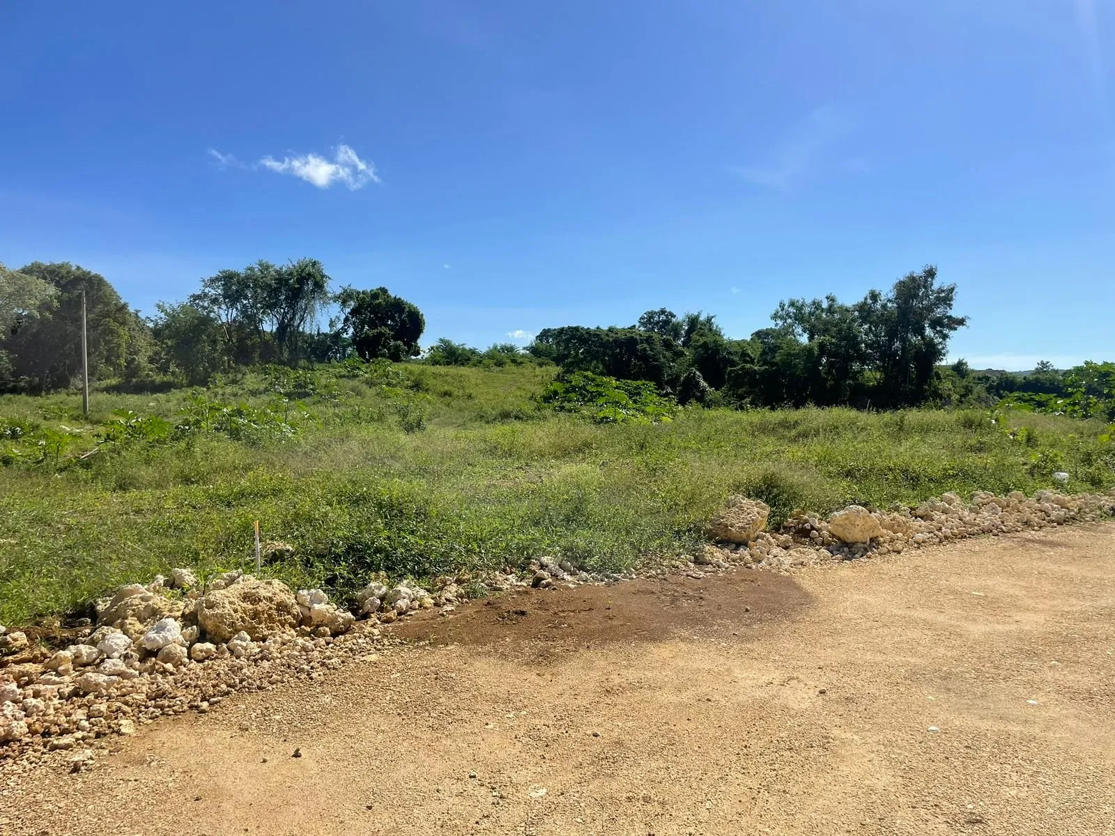 IDEAL LAND IN SOSUA, photo 2