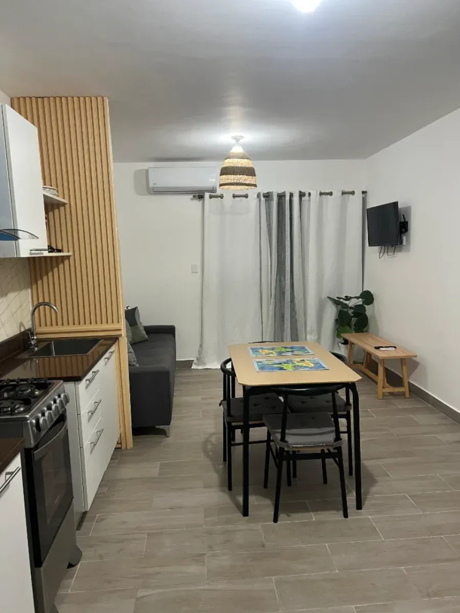 Fully Furnished 1-Bedroom Apartment, photo 4