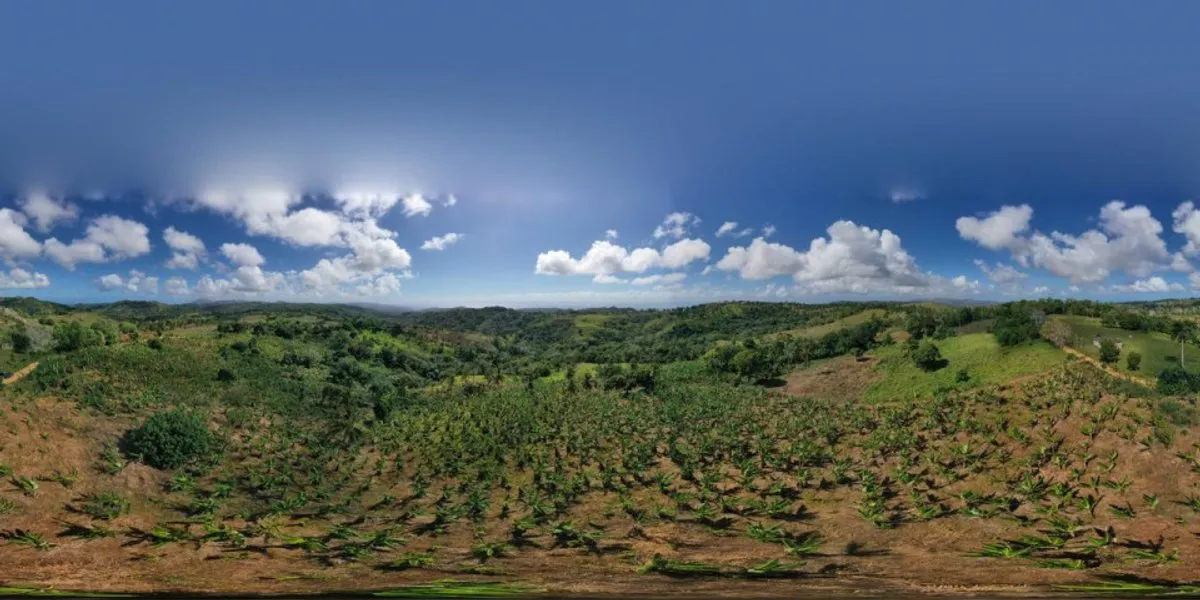 Terreno en Samaná, Juana Vicenta, foto 4