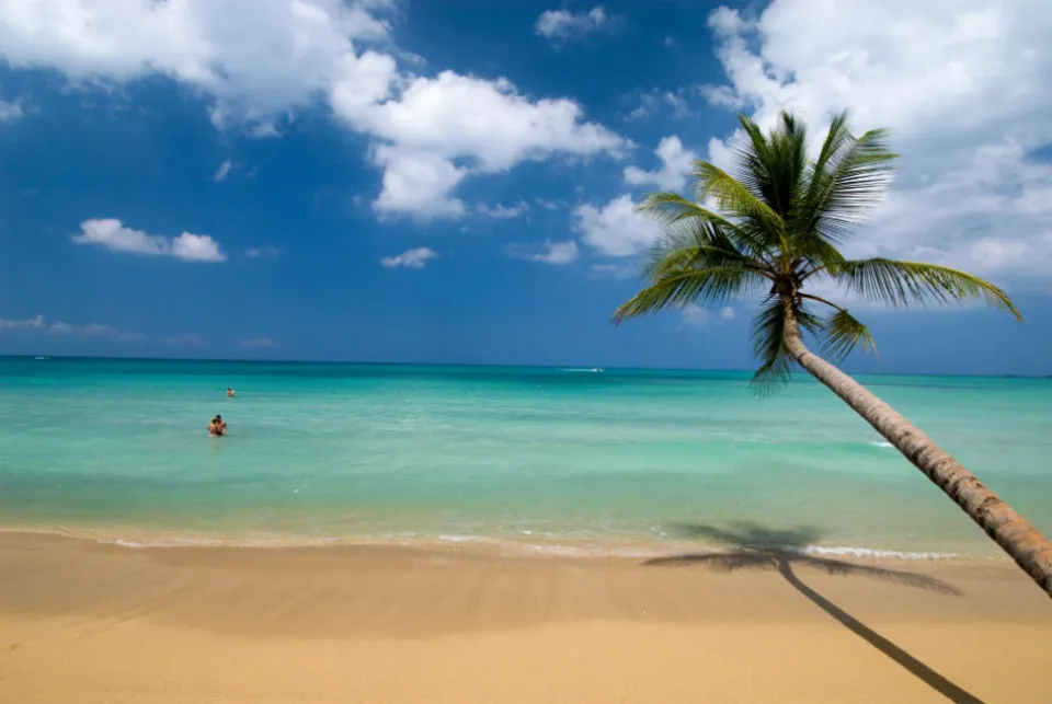 Progetto a PLAYA PUNTA POPY, foto principale
