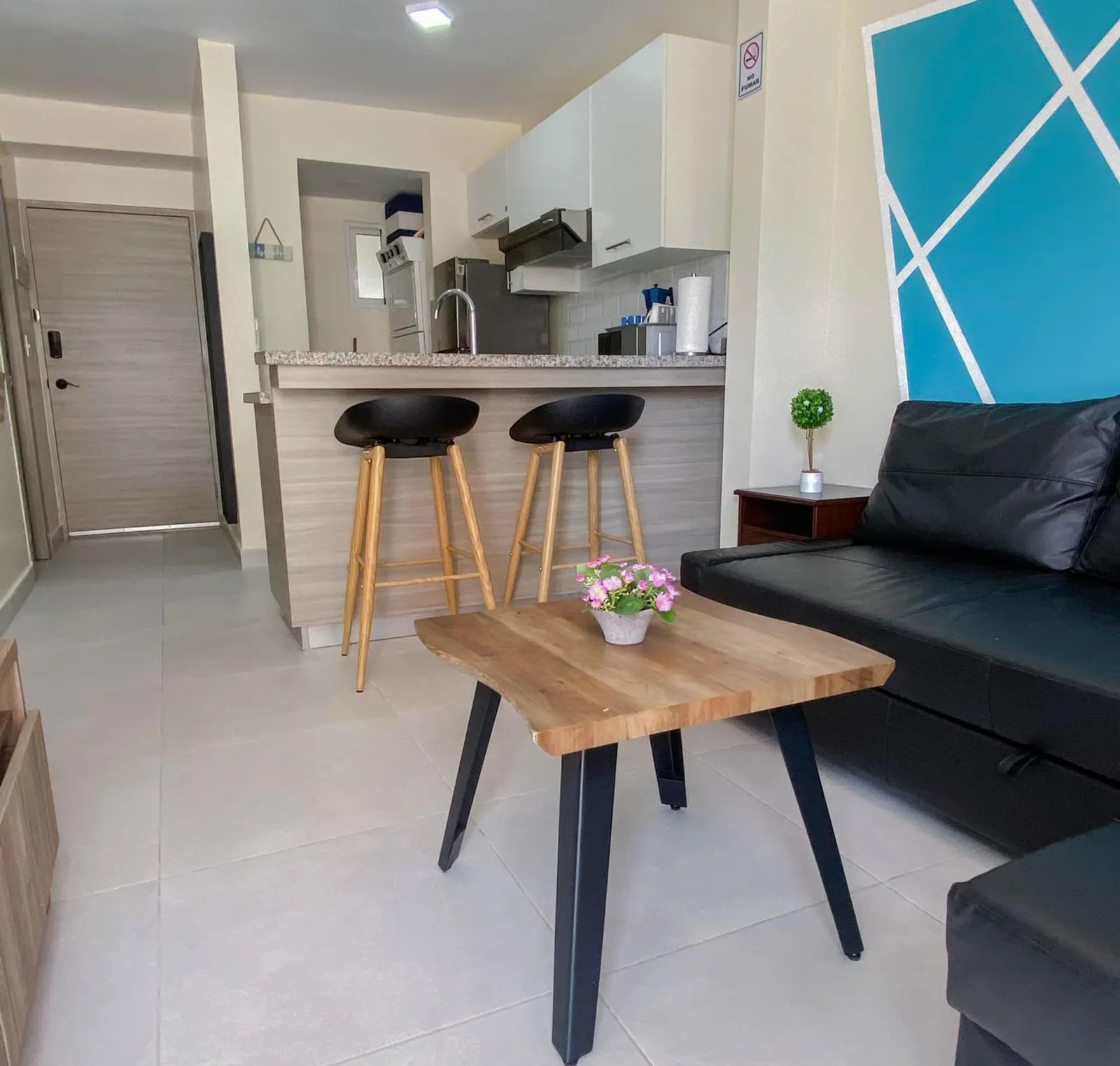 APPARTEMENT À VENDRE 1 CHAMBRE PUNTA CANA LA ALTAGRACIA, photo 6
