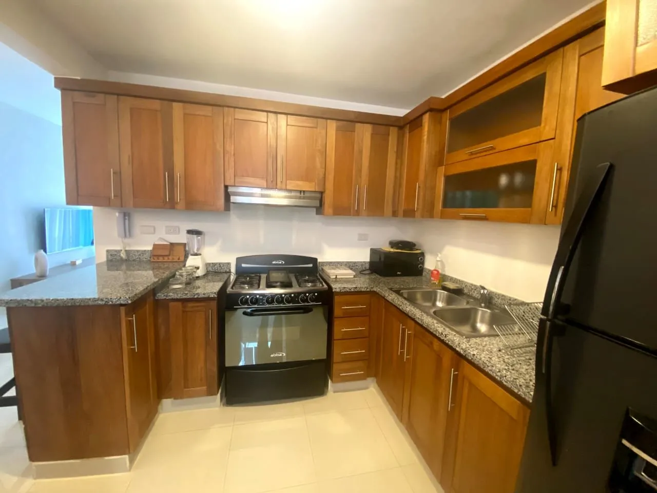 HERMOSO APARTAMENTO SANTIAGO, foto 7