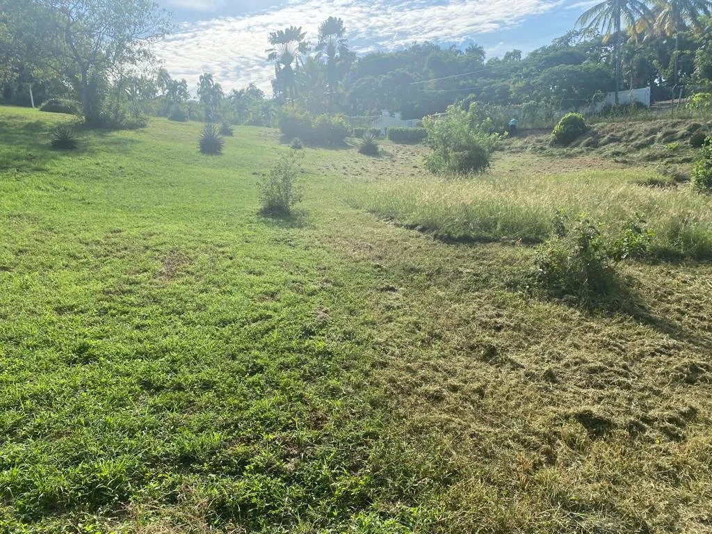 MARAVILLOSO TERRENO EN LA MULATA, foto 4