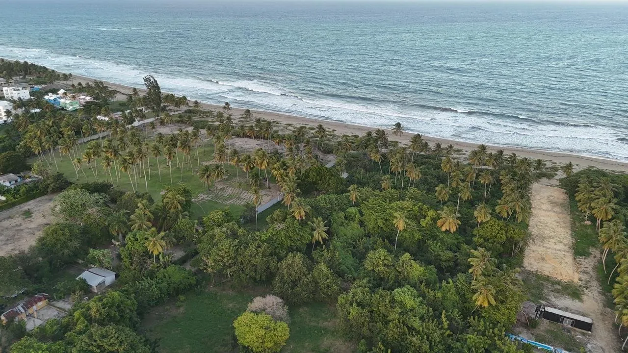 Terrain à vendre - Cabarete East, photo 3