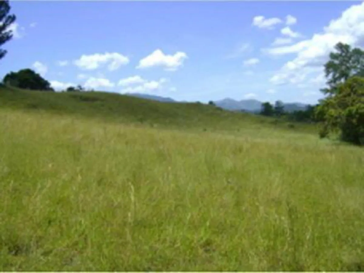 Terreno En Pedregal, San José De Las Matas, foto 3