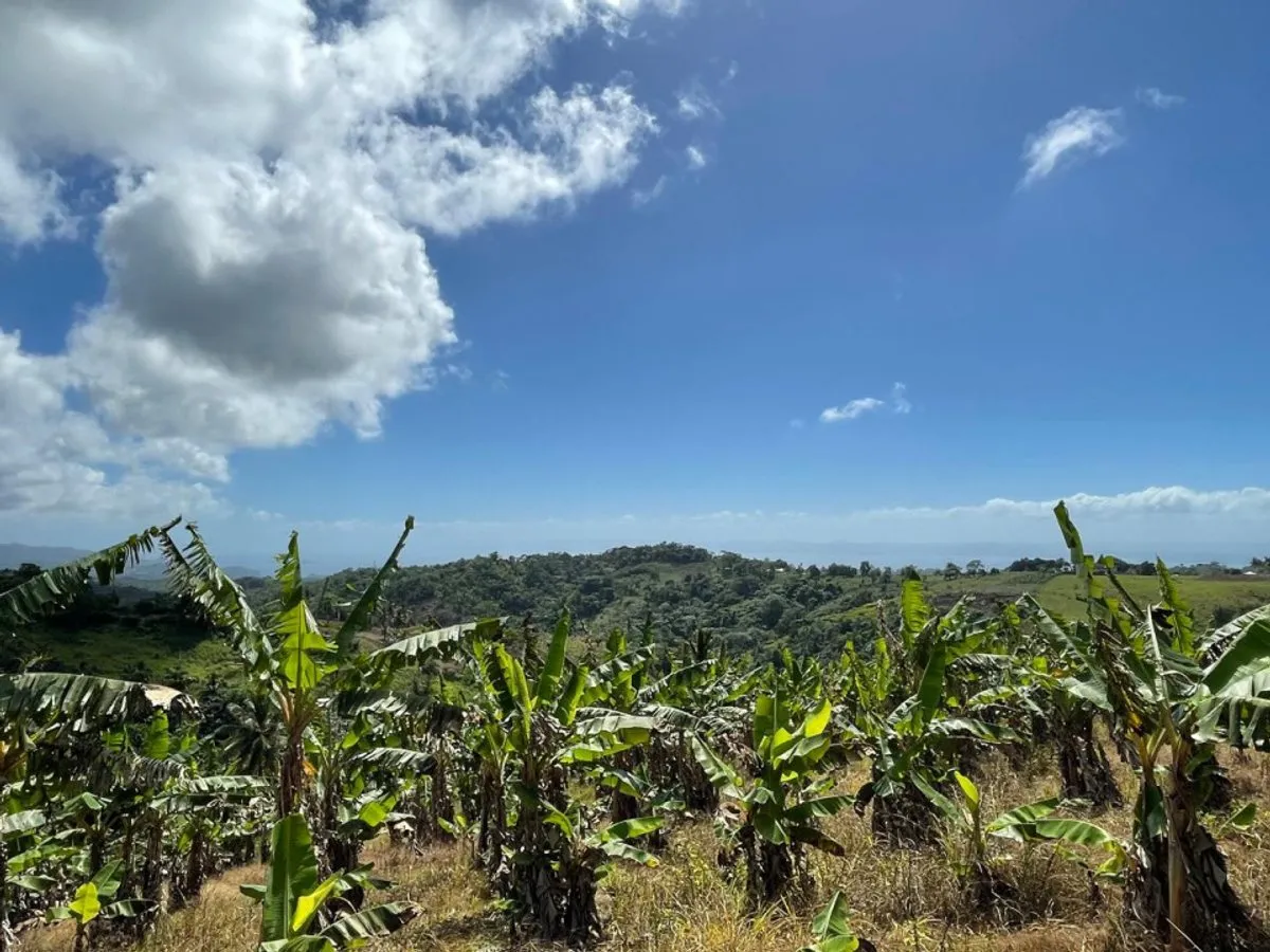 Terreno en Samaná, Juana Vicenta, foto 2