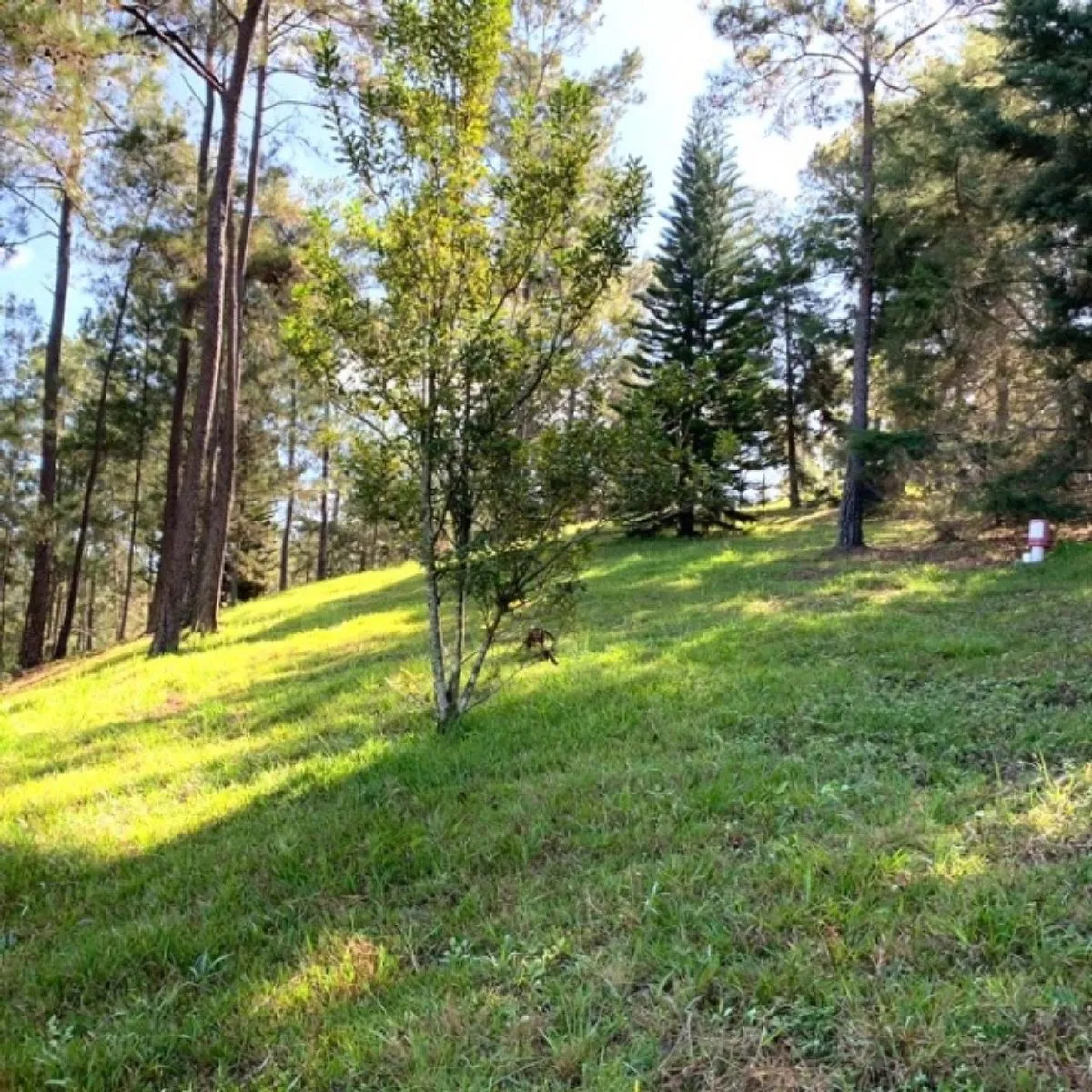 Land in Jarabacoa, Jarabacoa, main photo