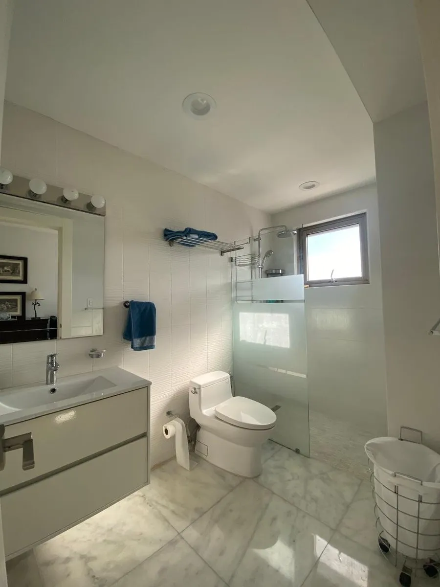 Penthouse in ottime condizioni a Naco, foto 11