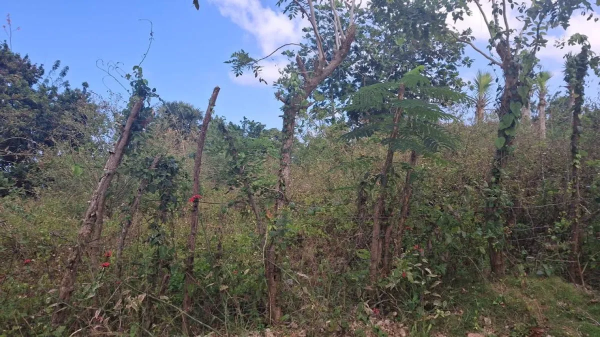 Terreno a Cabrera, Catalina Abajo, 650 m², foto 5