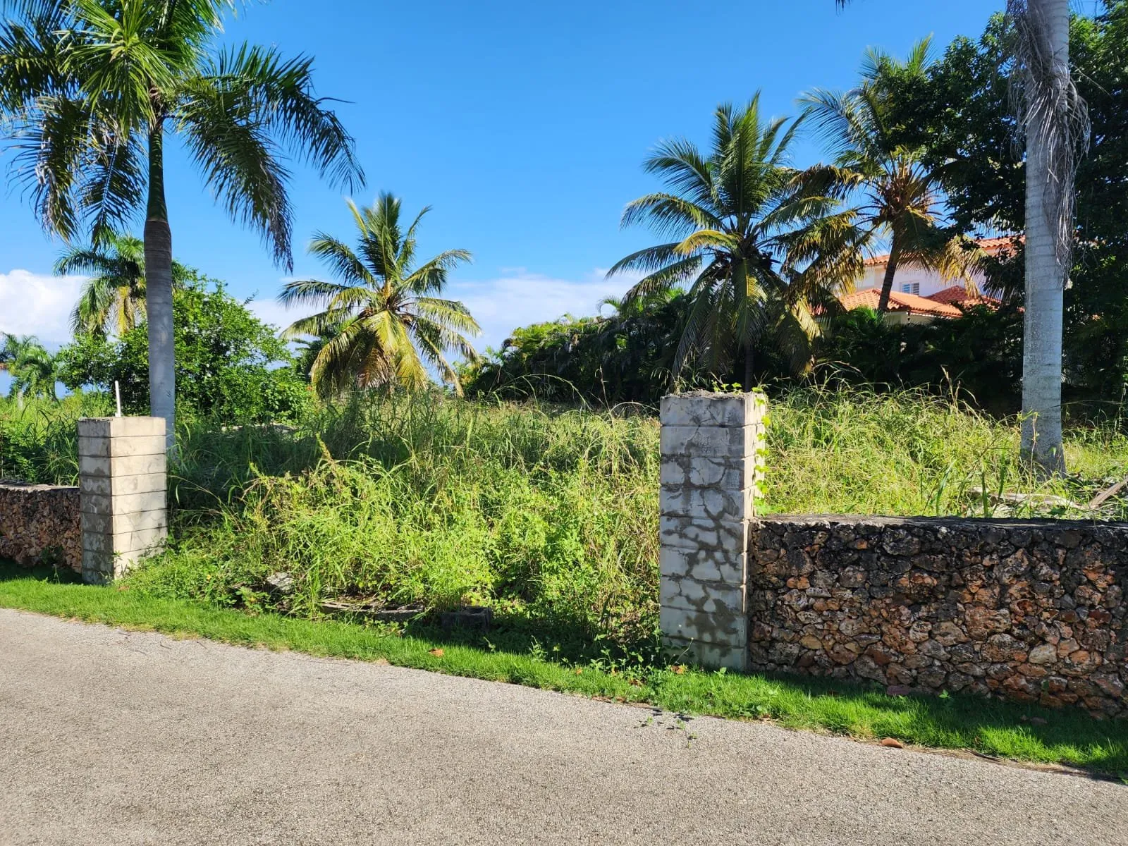 OPPORTUNITÉ DE TERRAIN – À CABARETE, photo 2
