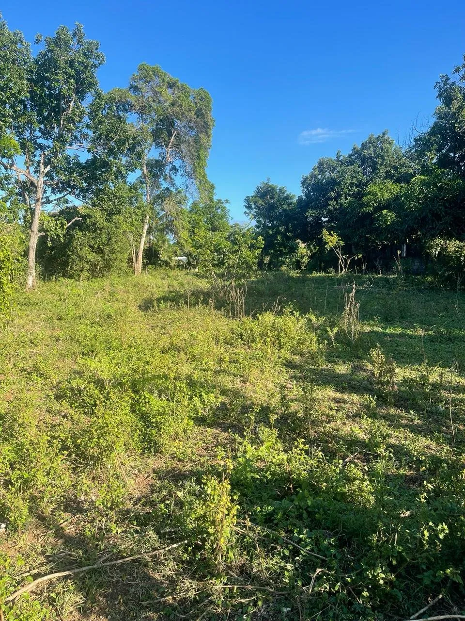 Hermoso terreno en Sosua – Carretera el choco, foto 5