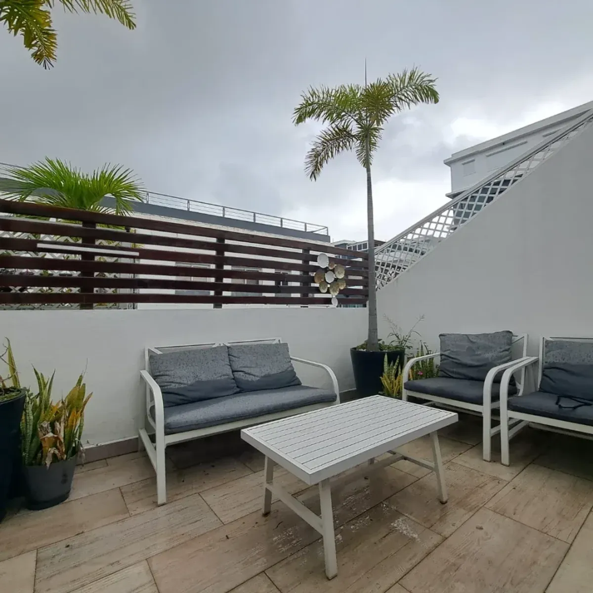 Penthouse of 210.5 m2 in El Millón, Santo Domingo, photo 8