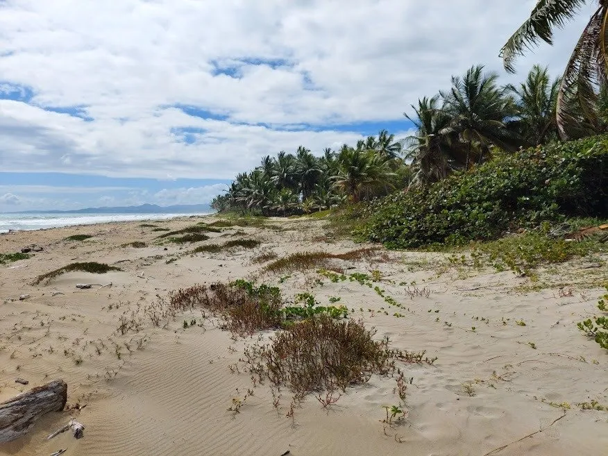 NUOVA OFFERTA – TERRENO FRONTE MARE – CABARETE, foto 11