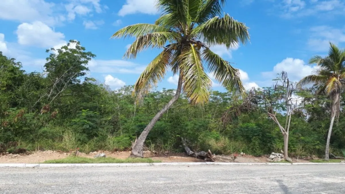 Grundstück in Juan Dolio, Guayacanes, Hauptfoto