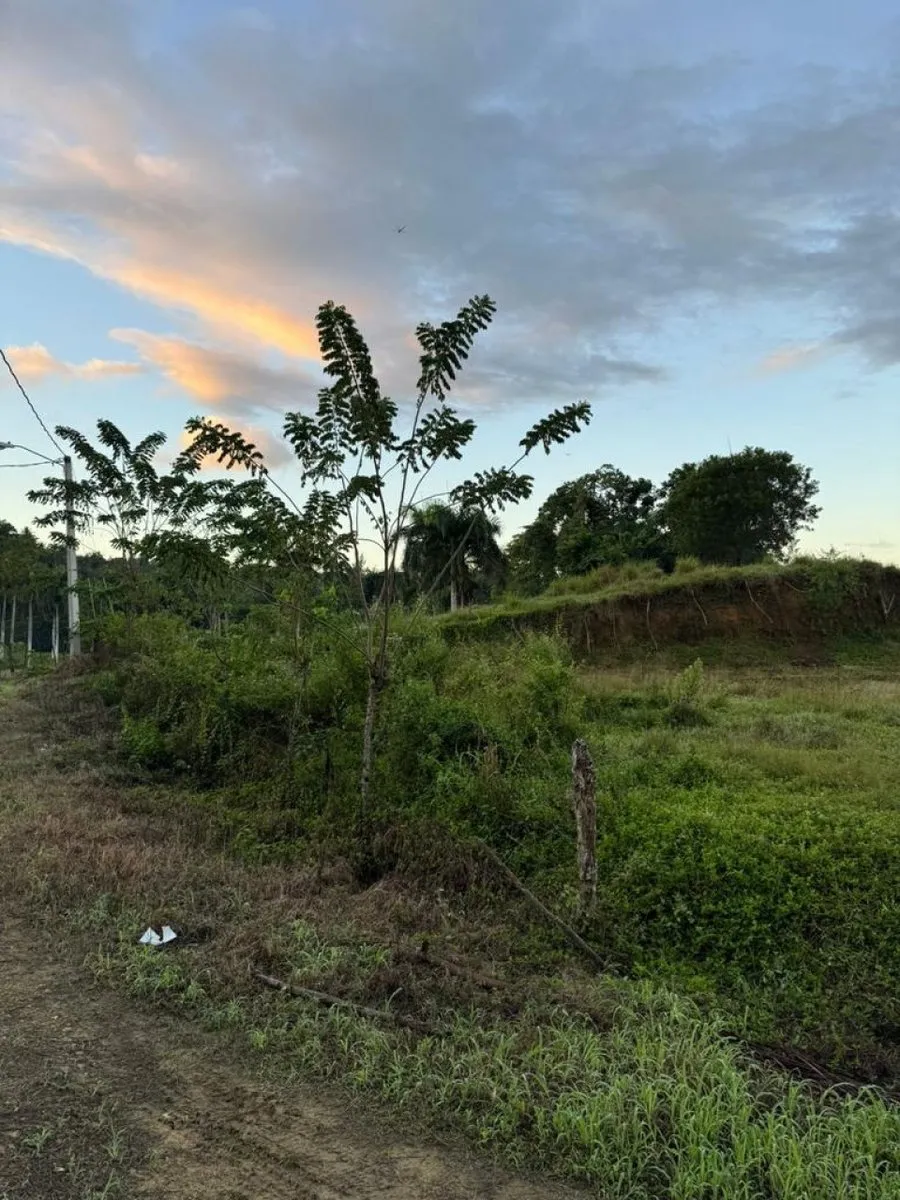 Land for Sale in Río San Juan, 1117 m², photo 4