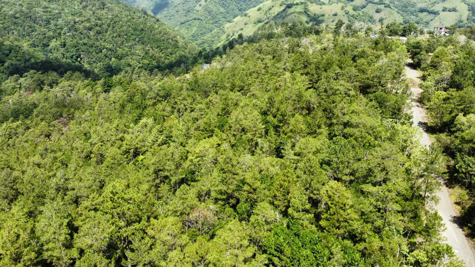 Opportunité Exceptionnelle d'Investissement dans un Terrain à Jarabacoa, photo 10