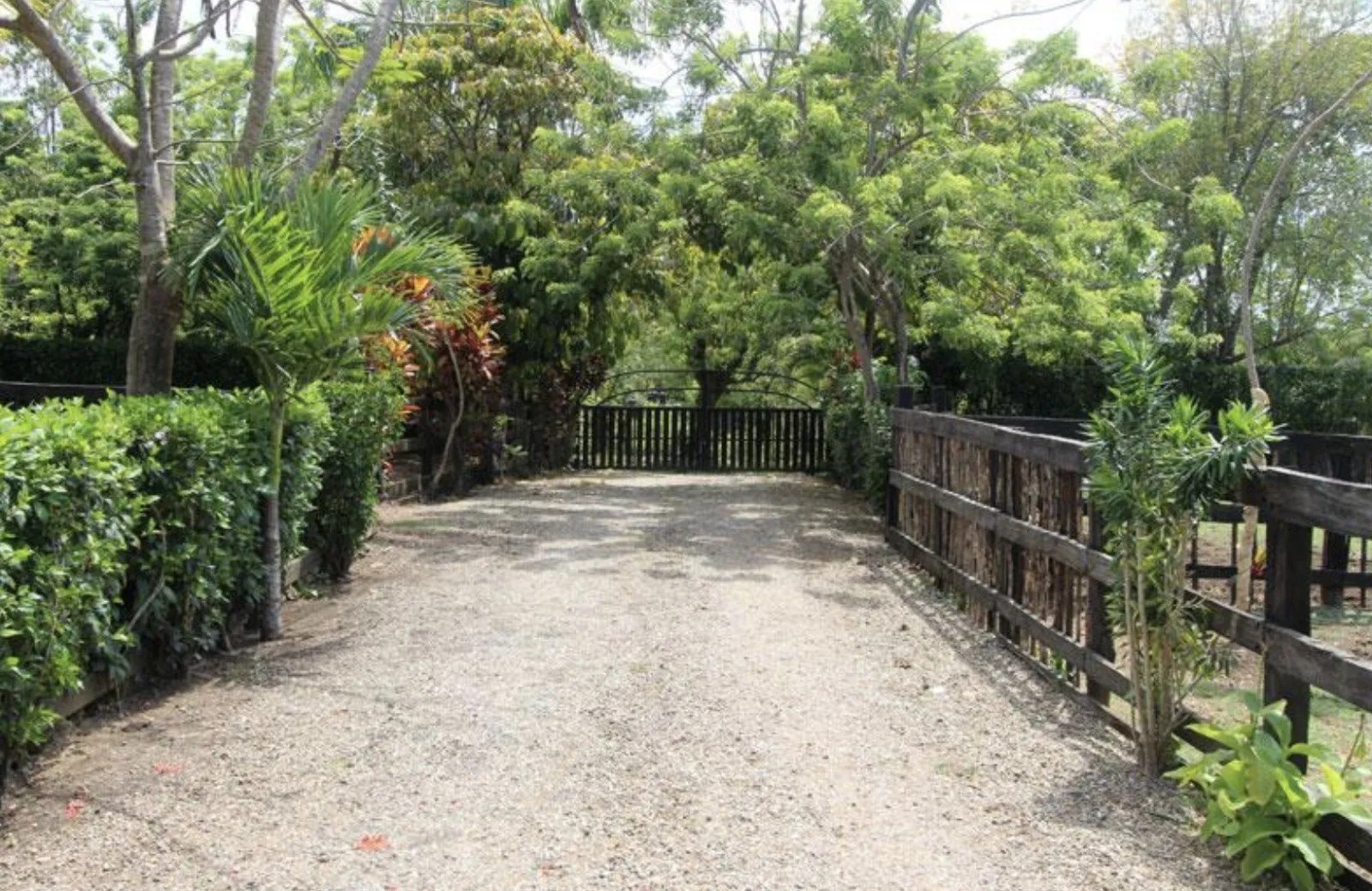 IN VENDITA – TENUTA DI CAMAGNA, foto 12
