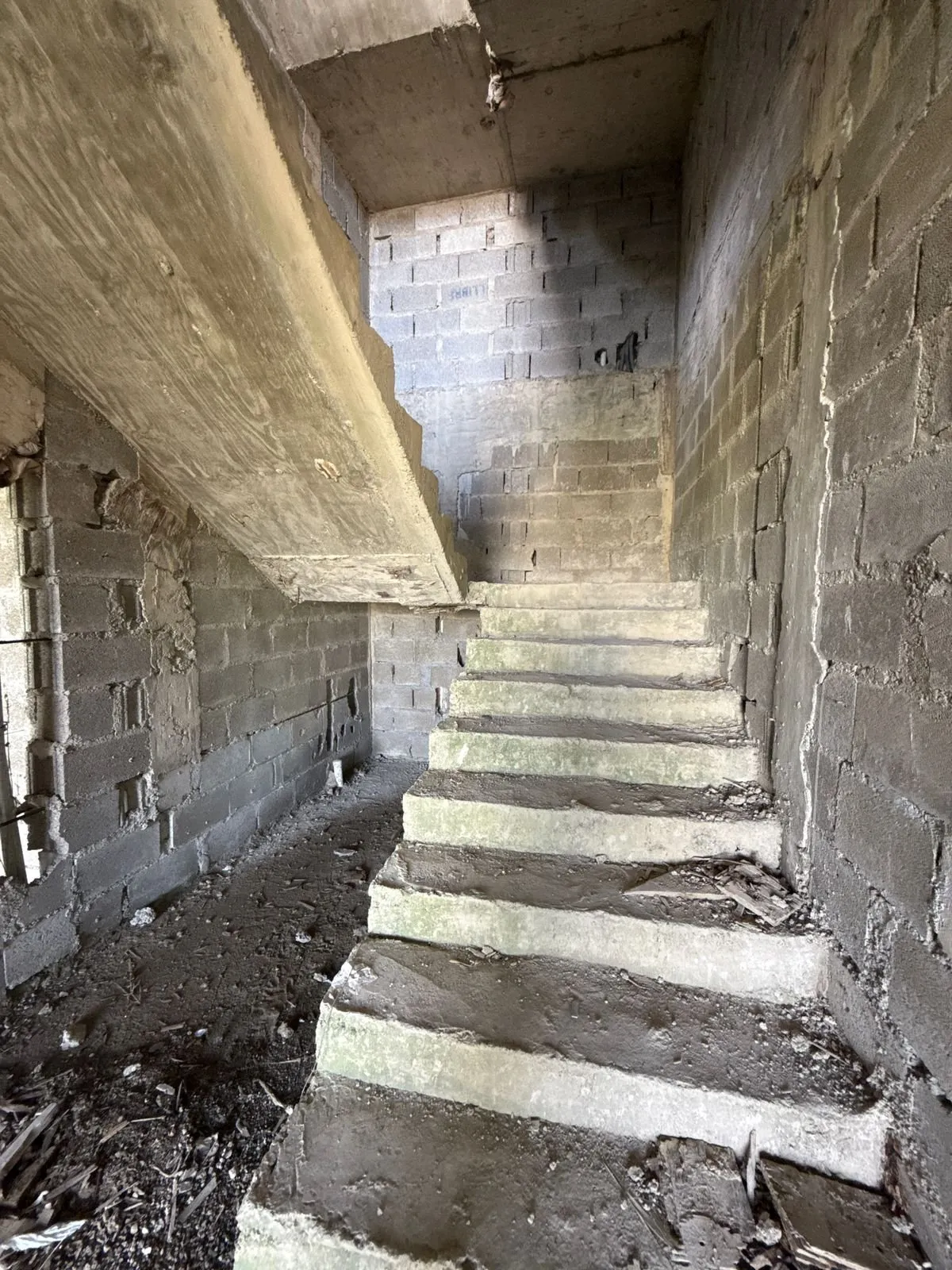Apartments Steps Away from Playa Encuentro, photo 6
