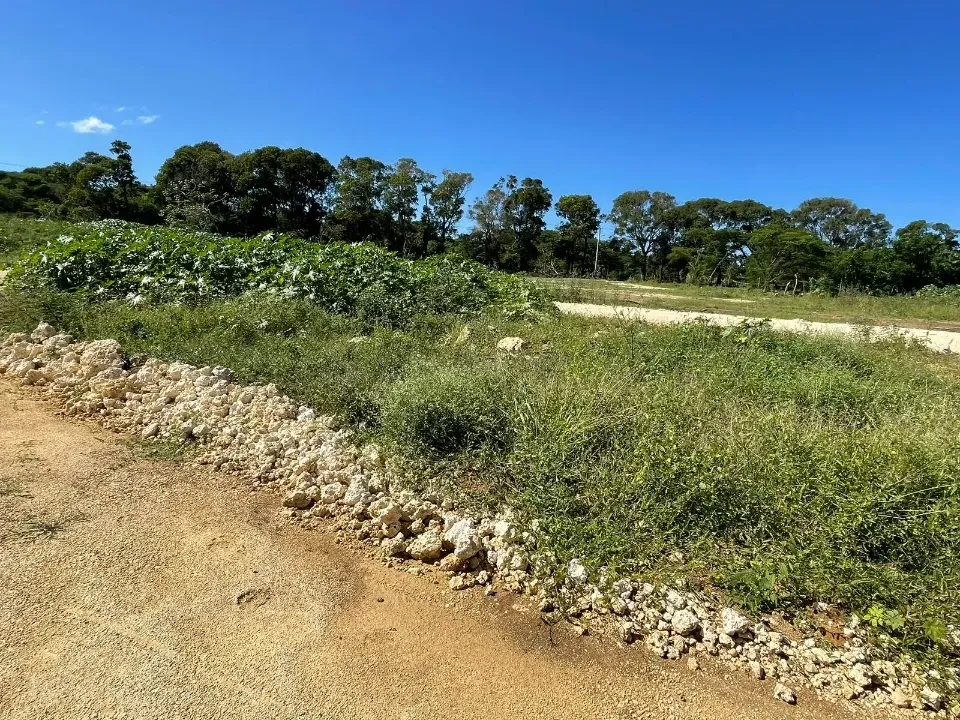 Land in EL CHOCO SOSÚA, photo 4